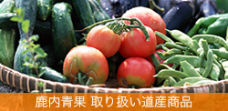 �����ʁ@��舵�����Y�H�i