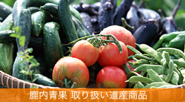 �����ʁ@��舵�����Y�H�i